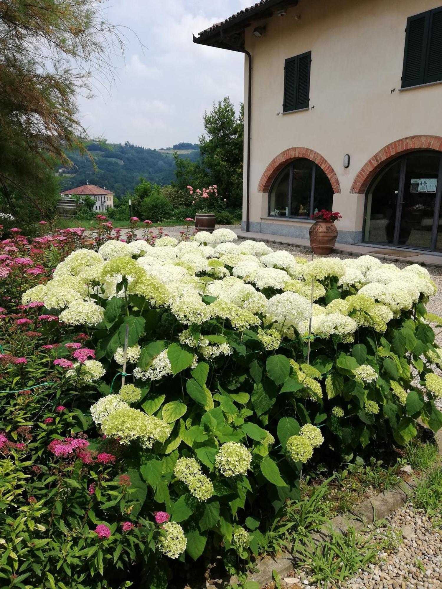 La Giribaldina Winery & Farmhouse Calamandrana Ngoại thất bức ảnh